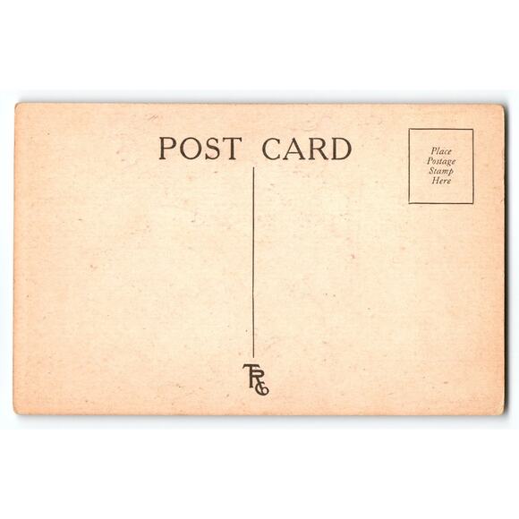 1907-1915 Halloween Postcard Prince Charming Mirror Litho H M Rose TRG Vintage - Picture 2 of 2